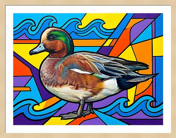Wigeon In Vibrant Colors