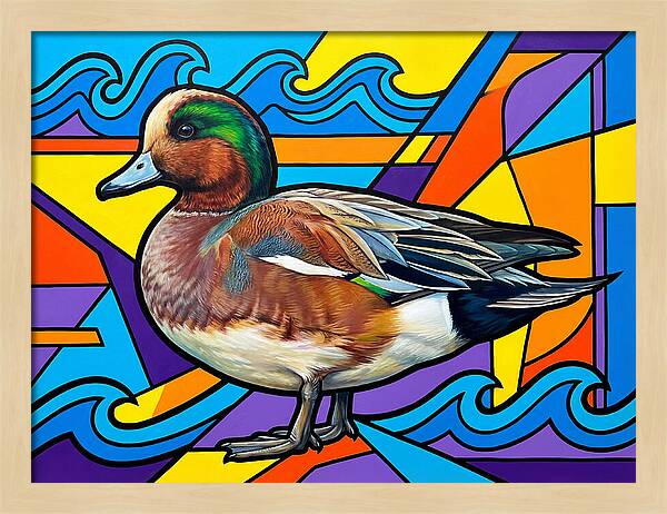 Wigeon In Vibrant Colors