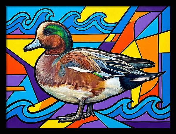 Wigeon In Vibrant Colors