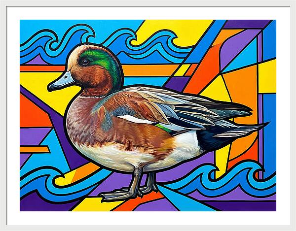 Wigeon In Vibrant Colors