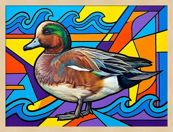 Wigeon In Vibrant Colors