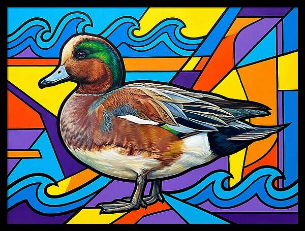 Wigeon In Vibrant Colors