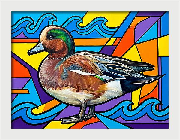 Wigeon In Vibrant Colors