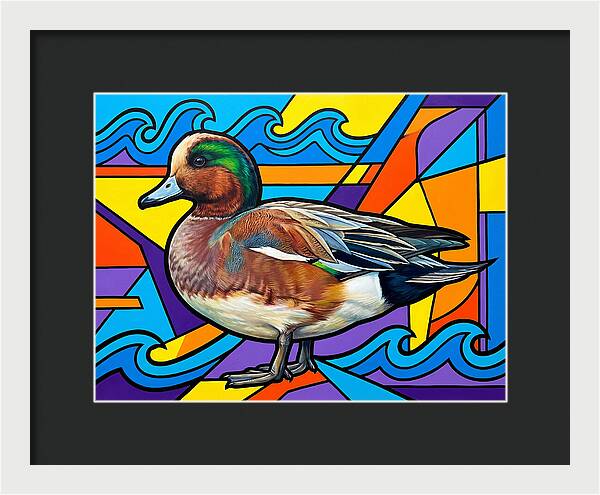 Wigeon In Vibrant Colors