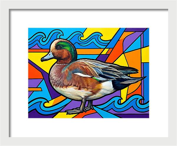 Wigeon In Vibrant Colors