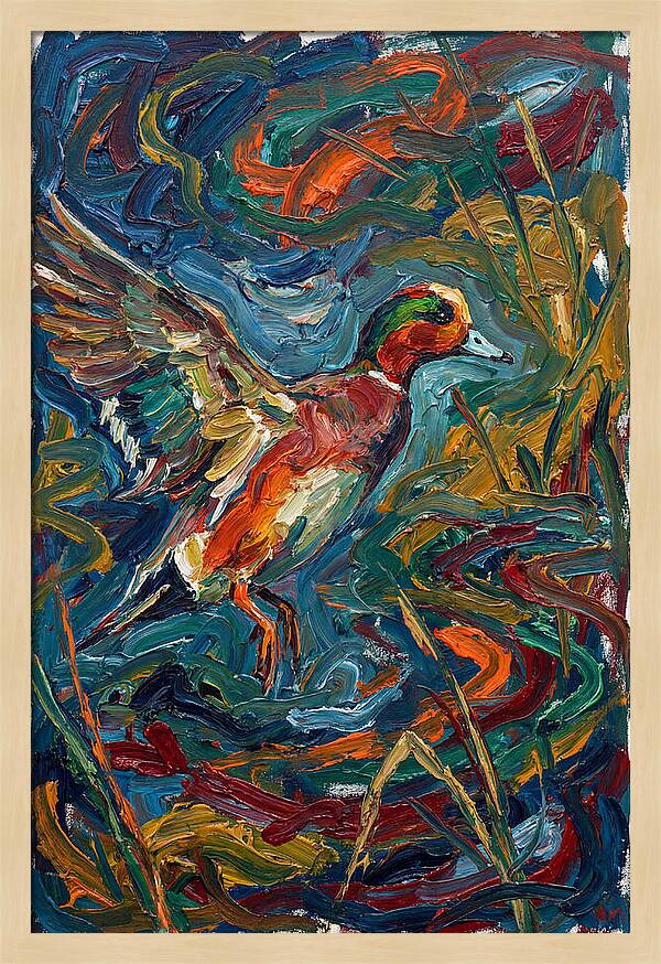 Wigeon In Vibrant Flight