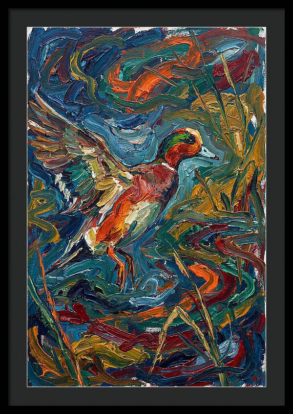 Wigeon In Vibrant Flight