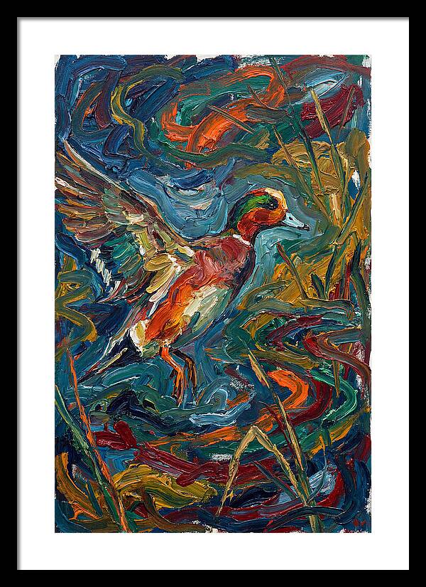Wigeon In Vibrant Flight