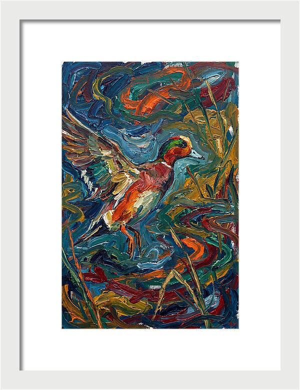Wigeon In Vibrant Flight
