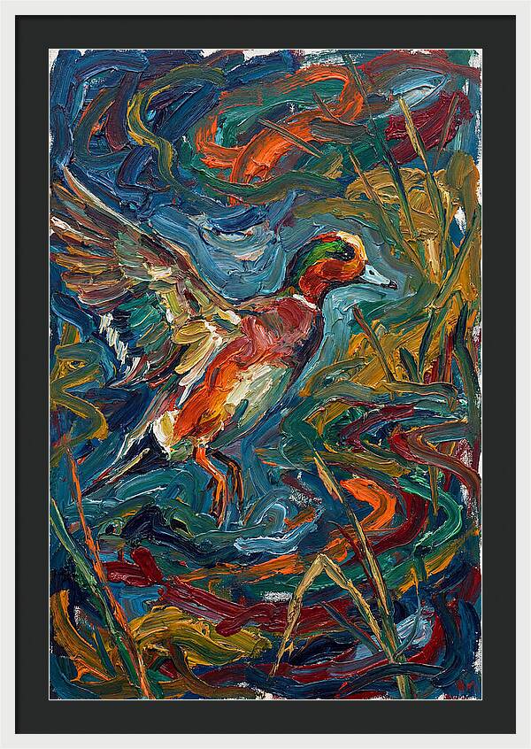 Wigeon In Vibrant Flight