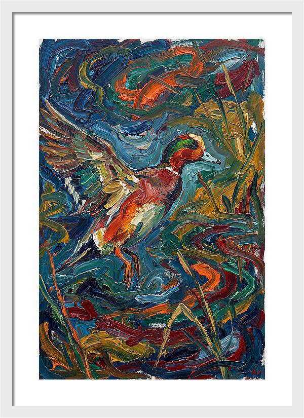 Wigeon In Vibrant Flight