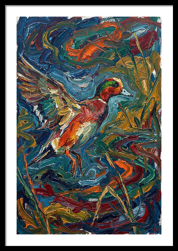 Wigeon In Vibrant Flight