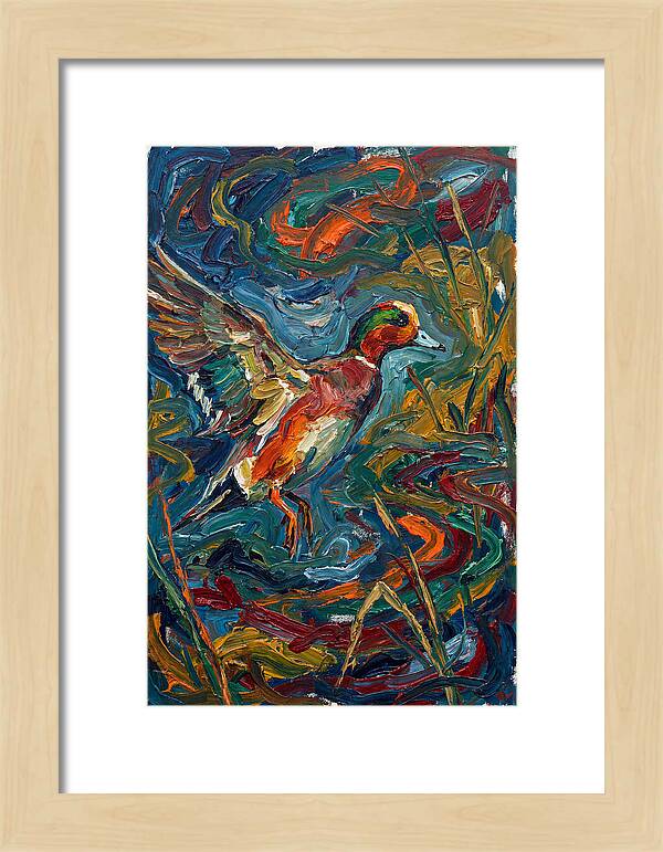 Wigeon In Vibrant Flight