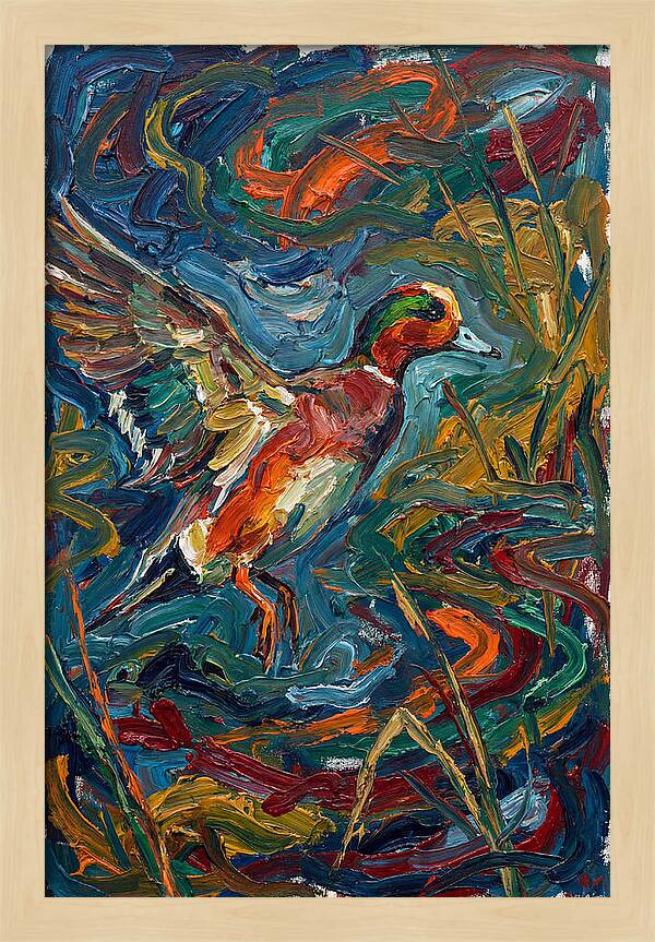 Wigeon In Vibrant Flight