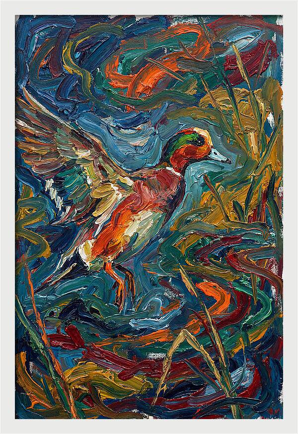 Wigeon In Vibrant Flight