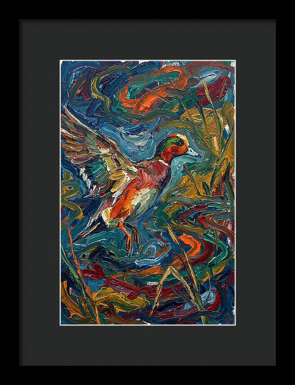 Wigeon In Vibrant Flight