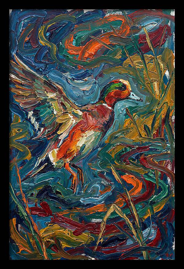 Wigeon In Vibrant Flight