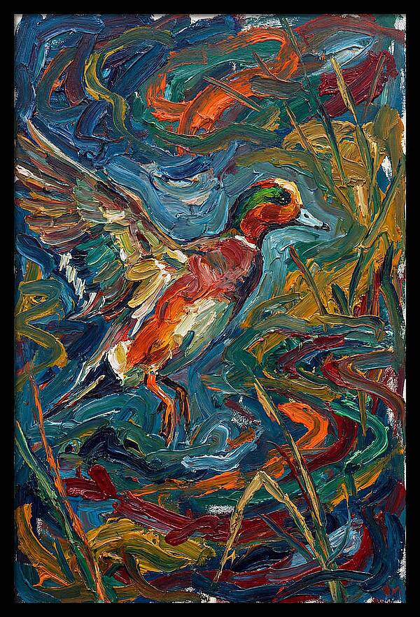 Wigeon In Vibrant Flight