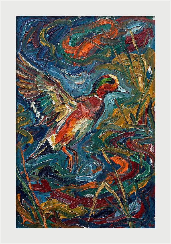 Wigeon In Vibrant Flight
