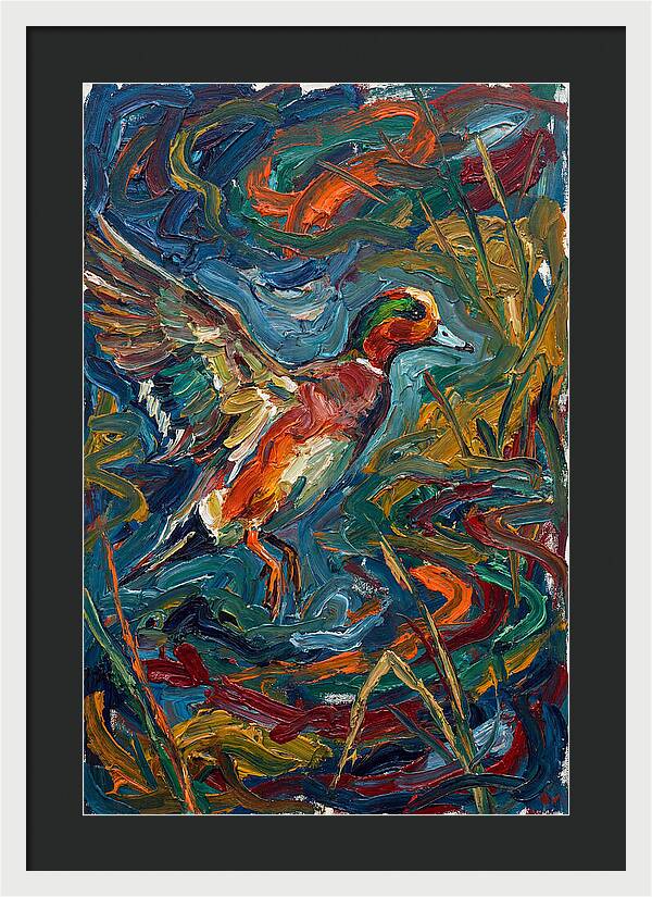 Wigeon In Vibrant Flight