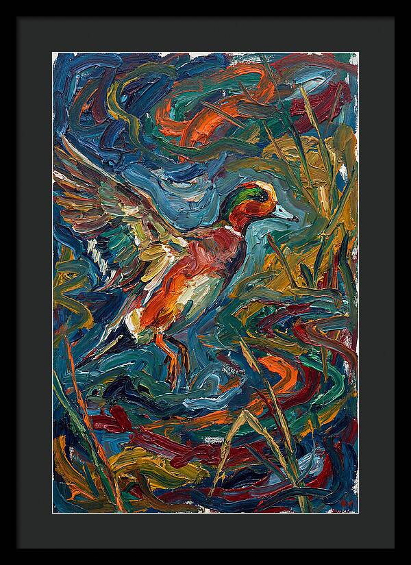 Wigeon In Vibrant Flight