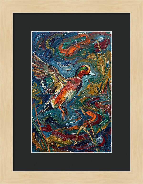 Wigeon In Vibrant Flight