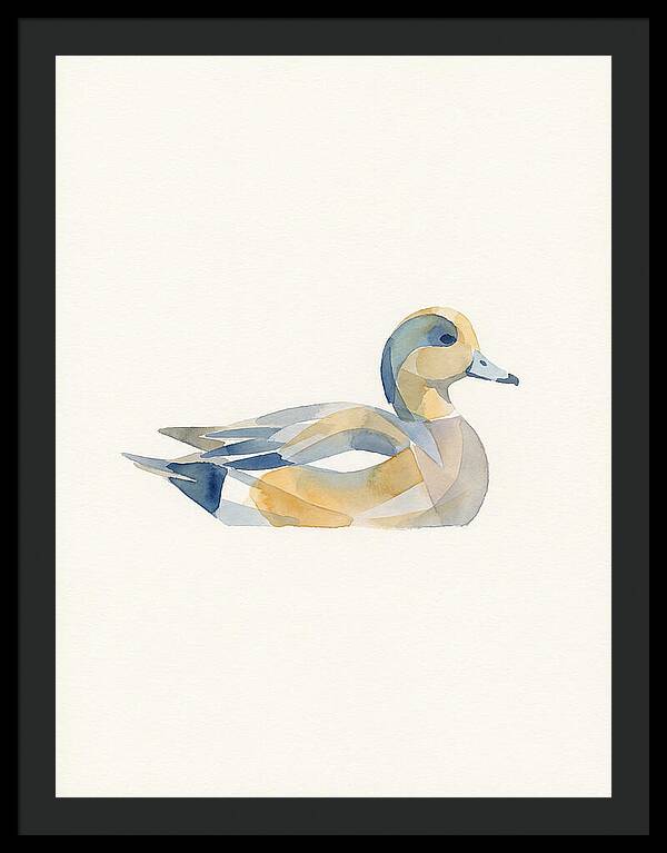 Wigeon In Watercolor Style