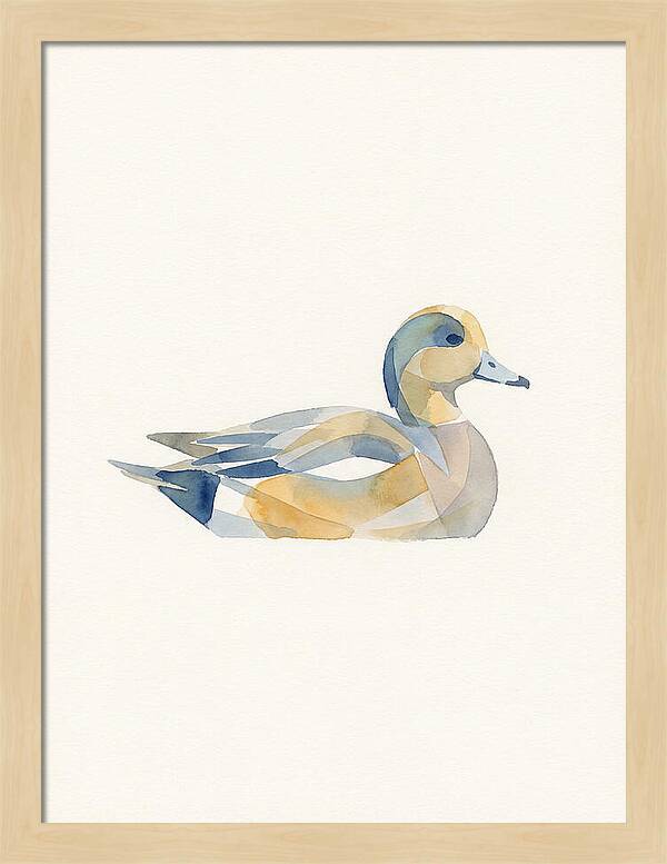 Wigeon In Watercolor Style