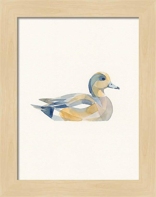 Wigeon In Watercolor Style