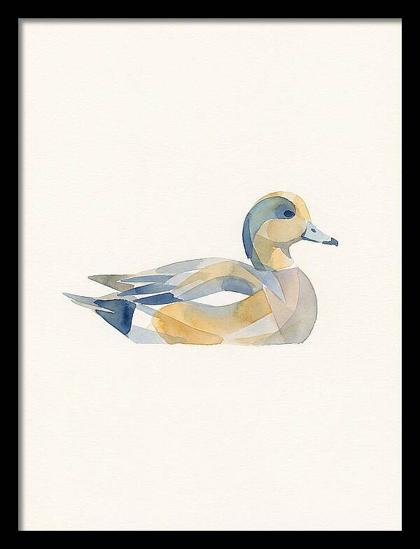 Wigeon In Watercolor Style