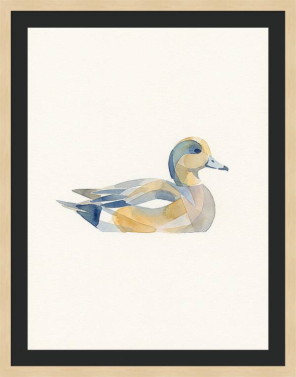 Wigeon In Watercolor Style