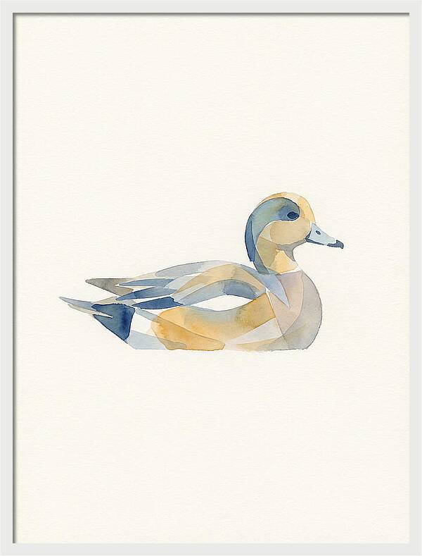 Wigeon In Watercolor Style