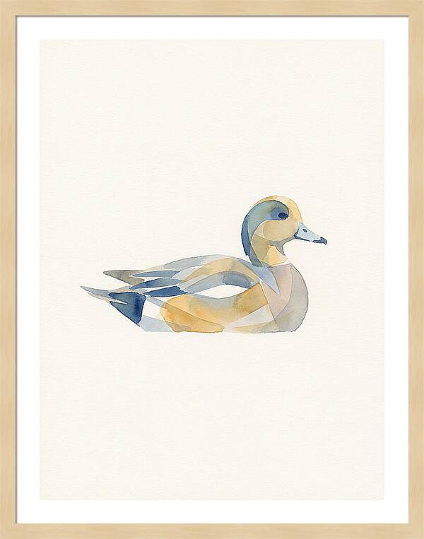 Wigeon In Watercolor Style