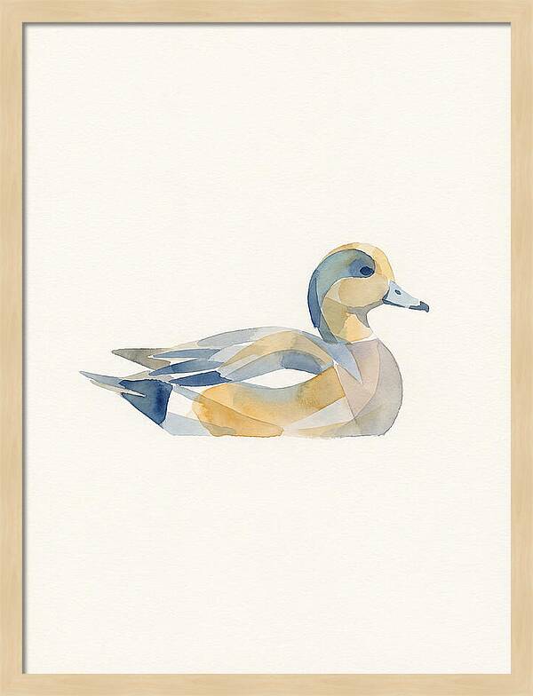 Wigeon In Watercolor Style