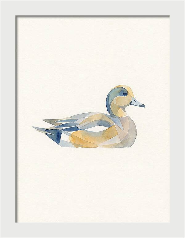 Wigeon In Watercolor Style