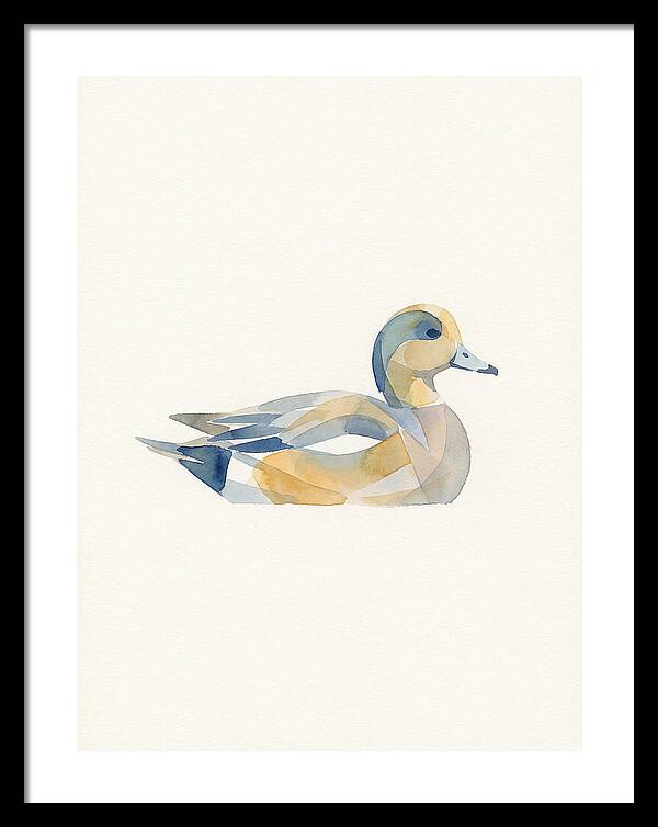 Wigeon In Watercolor Style