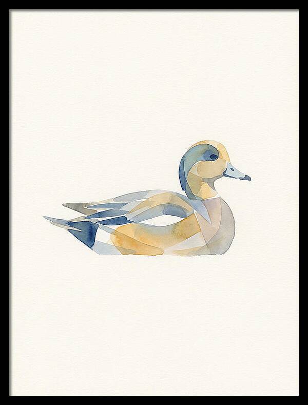 Wigeon In Watercolor Style