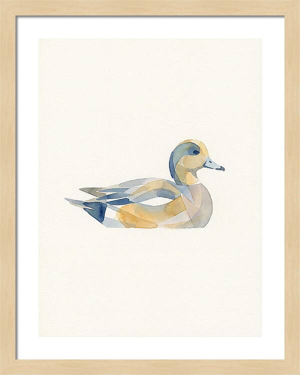 Wigeon In Watercolor Style