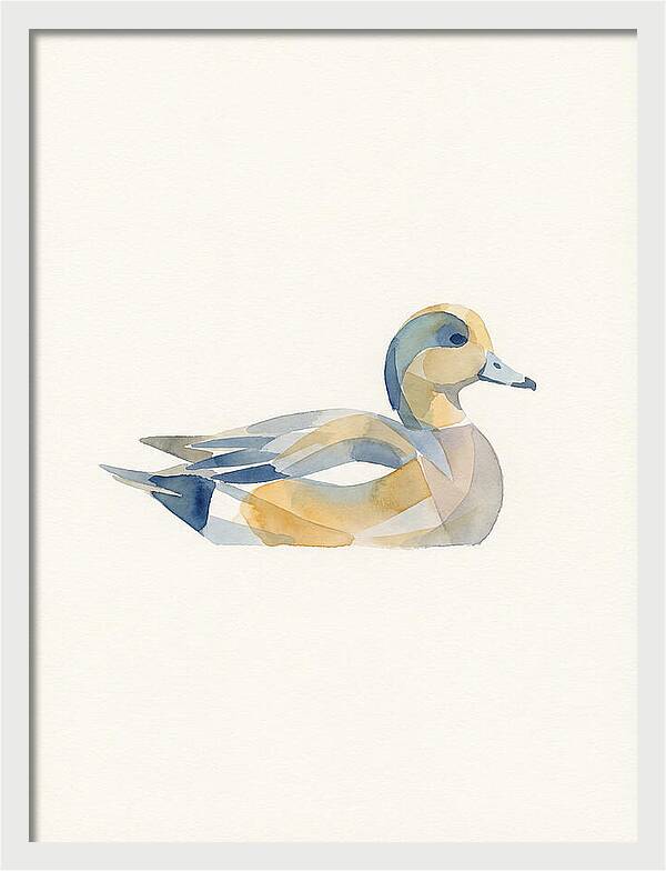 Wigeon In Watercolor Style