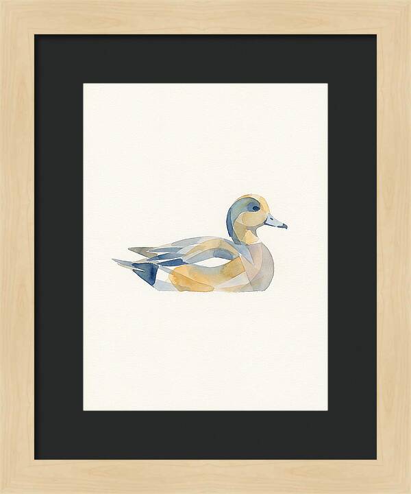 Wigeon In Watercolor Style