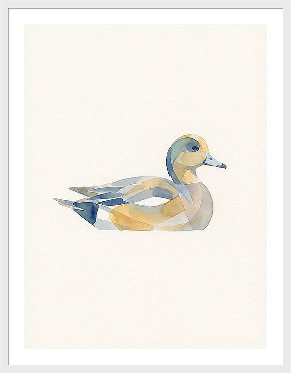 Wigeon In Watercolor Style