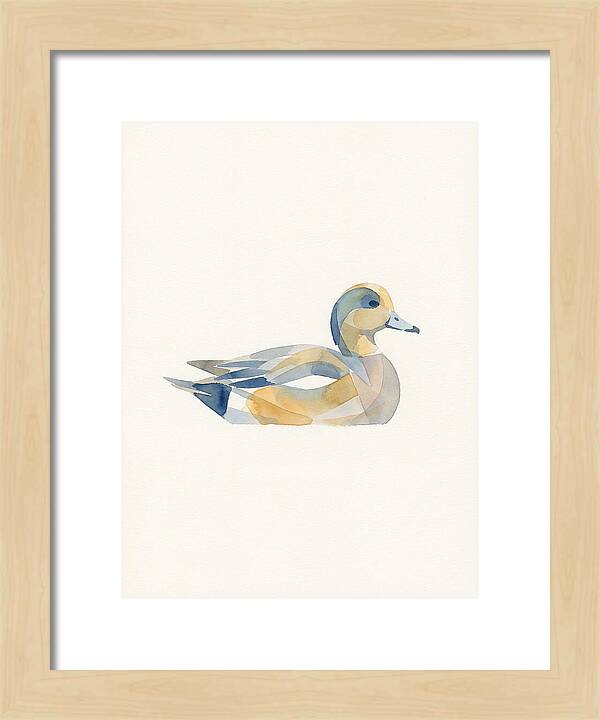 Wigeon In Watercolor Style