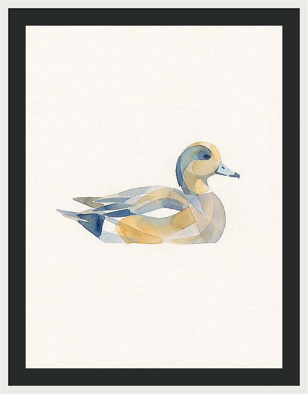 Wigeon In Watercolor Style