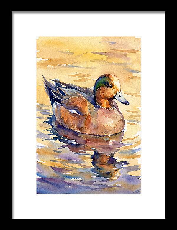 Wigeon Swimming In Serenity