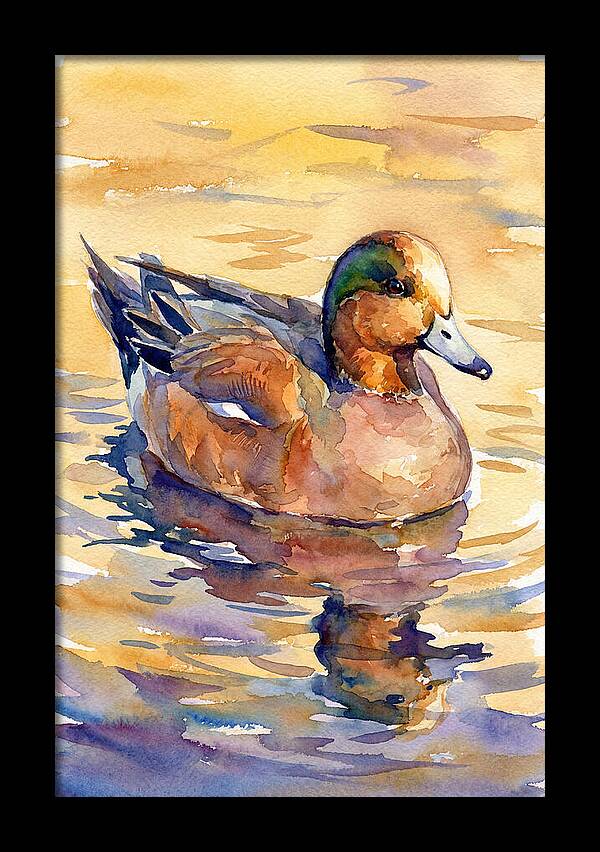 Wigeon Swimming In Serenity