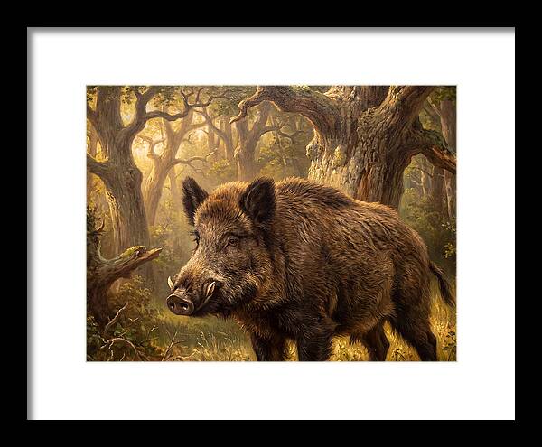 Wild Boar In Forest