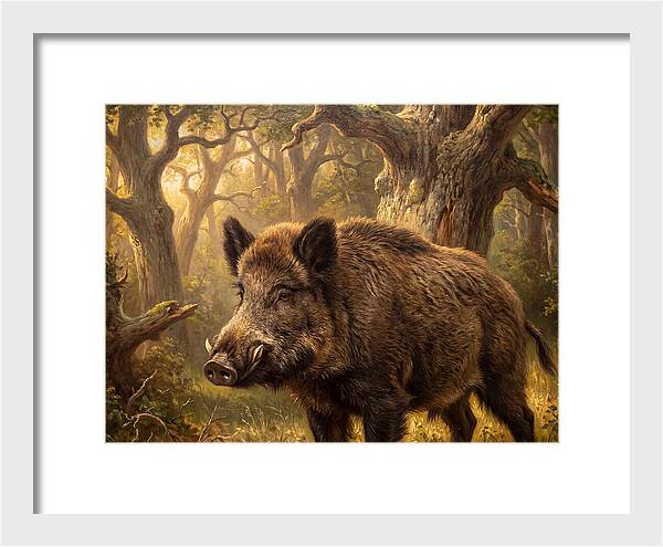 Wild Boar In Forest
