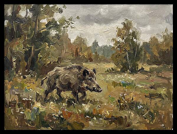 Wild Boar In Nature
