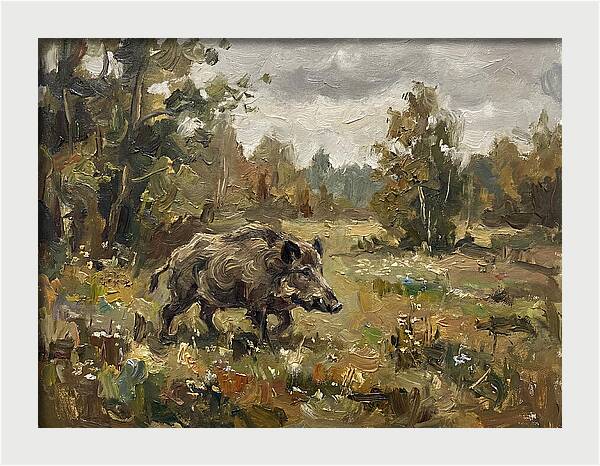 Wild Boar In Nature