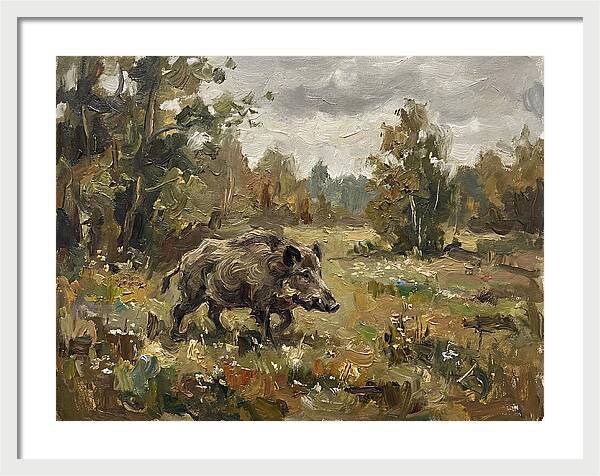 Wild Boar In Nature